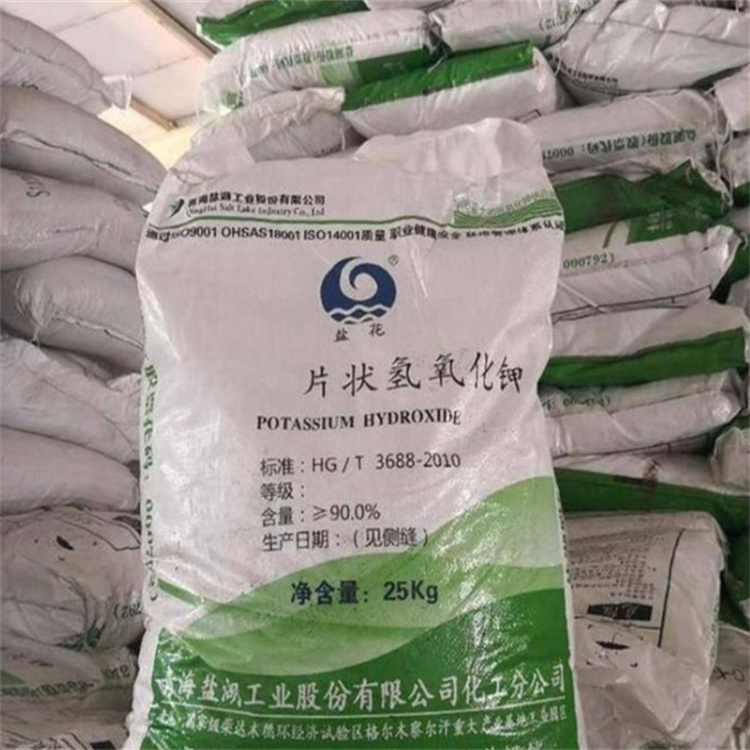 骚逼网站啊啊啊啊啊